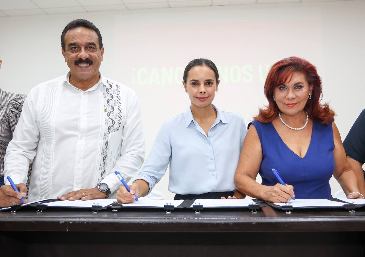 uploads/6/32/01 (300).Jpeg